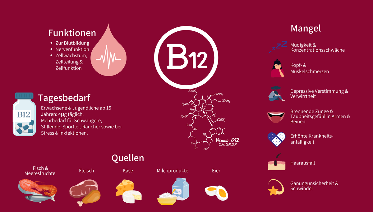 Vitamin B12 Infografik