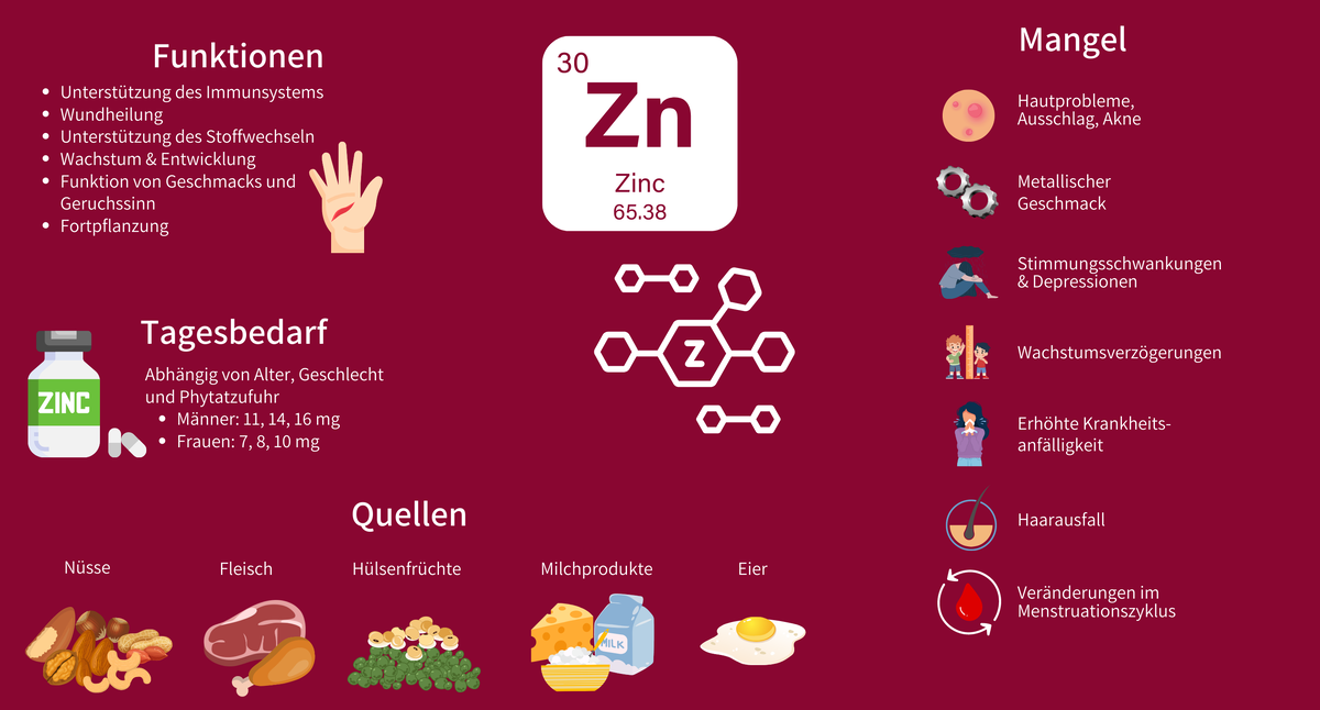 Infografik Zink, Nahrungsmittel, Funkionen, Mangel und Bedarf